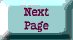 Next Page