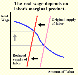 real wage depends on MP