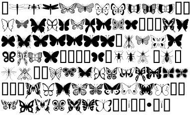 Character Set